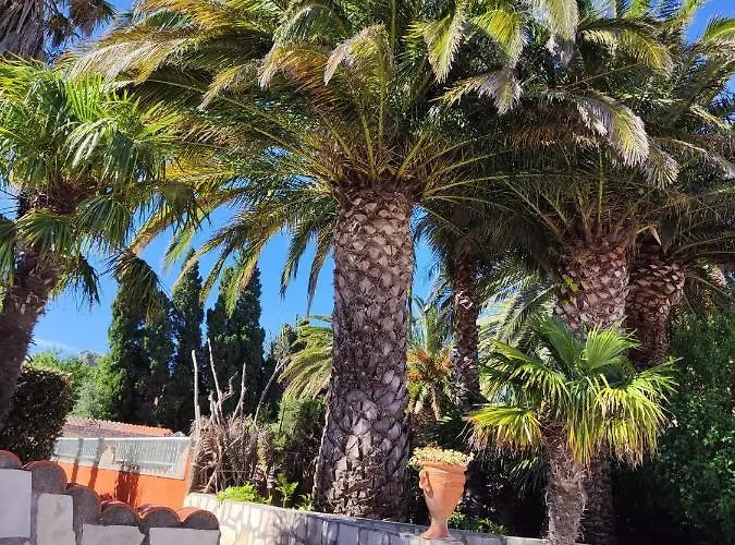 La Capelle Pres De Sigean Narbonne Dans L'aude A 10 Min Des Plages Mediterranee Dom wakacyjny