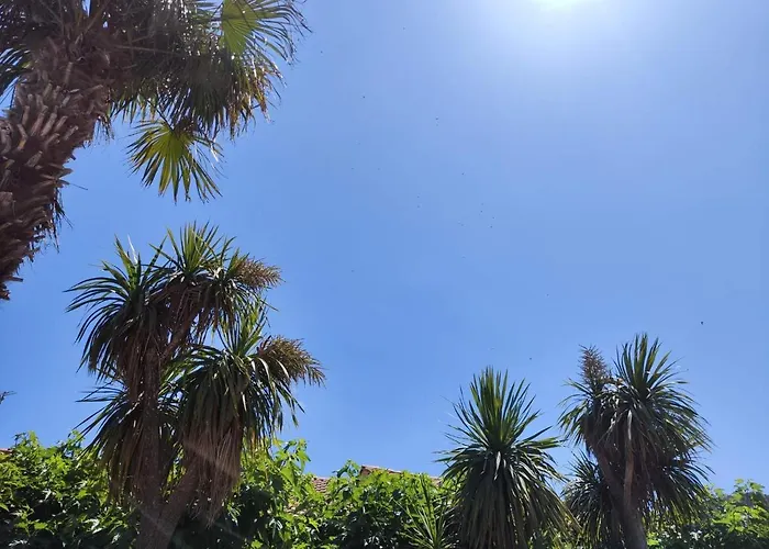 La Capelle Près De Sigean Narbonne Dans L'aude à 10 Min Des Plages Méditerranée
